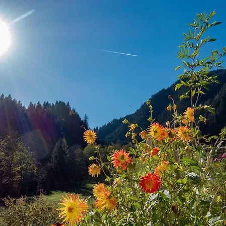 Appartement Heim Sankt Gallenkirch
